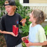 Carolina Summer BQQ-47