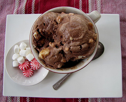 Hot Cocoa Ice Cream with Peppermint Chips-16A