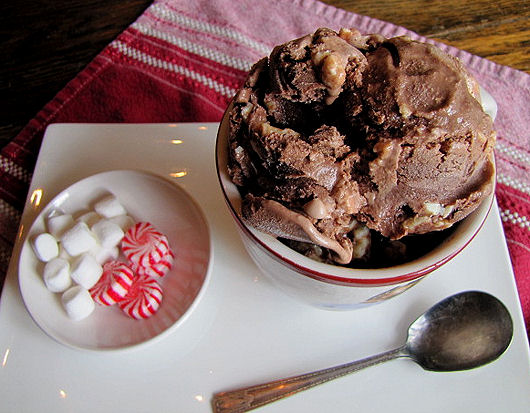 Hot Cocoa Ice Cream with Peppermint Chips-5A