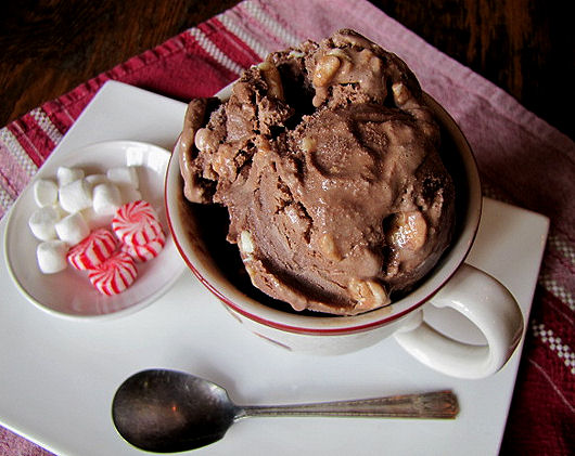 Hot Cocoa Ice Cream with Peppermint Chips-8A
