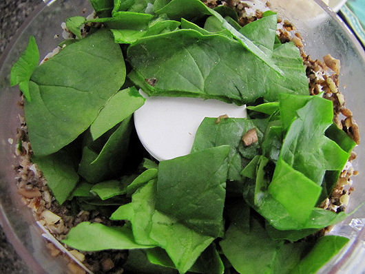 Spinach Mushroom Pesto (14)