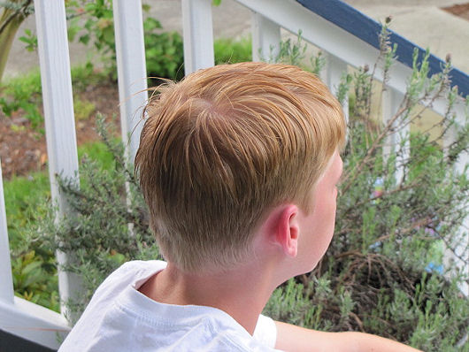 Post image for Sheared & Shorn