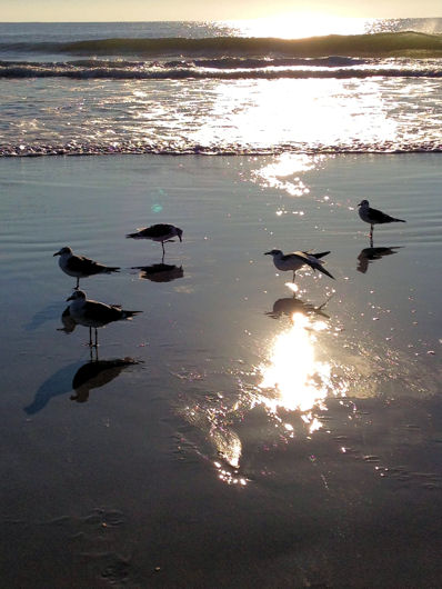 Peaceful Autumn Beach-6