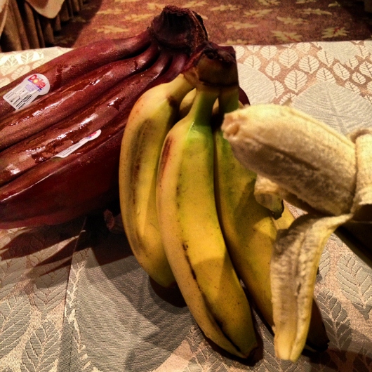 Bananarama, Dole & Disneyland (8)